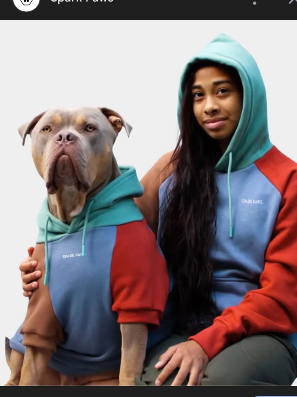 Spark Paws Colorblock Hoodie for Dogs - Teal, Blue & Red